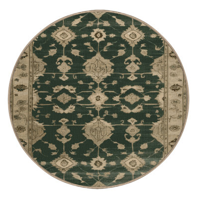 Machine Washable Overdyed Brown Area Rug