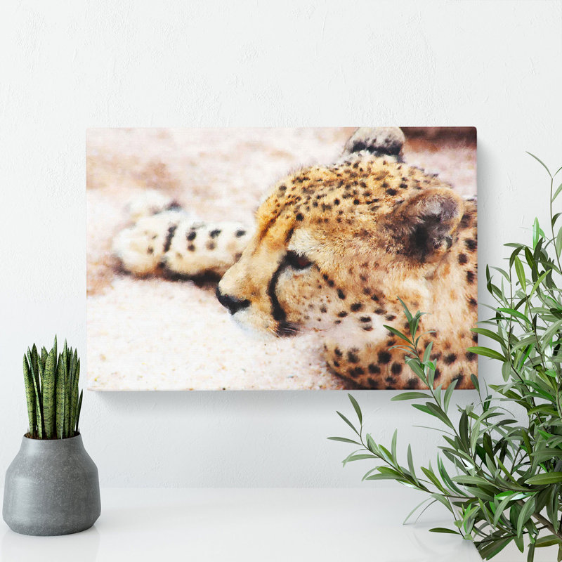 Cheetah Vol.1 - Wrapped Canvas, 35cm H x 50cm W x 3cm D
