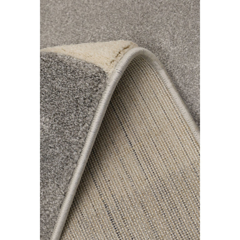 Delyle Oriental Area Rug, Rectangle 80 x 150 cm