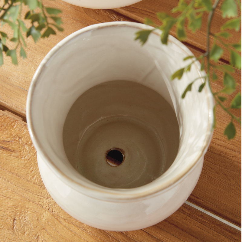 Delaney Stoneware Planter, Cream, 5.5" H x 5.5" W x 5.5" D