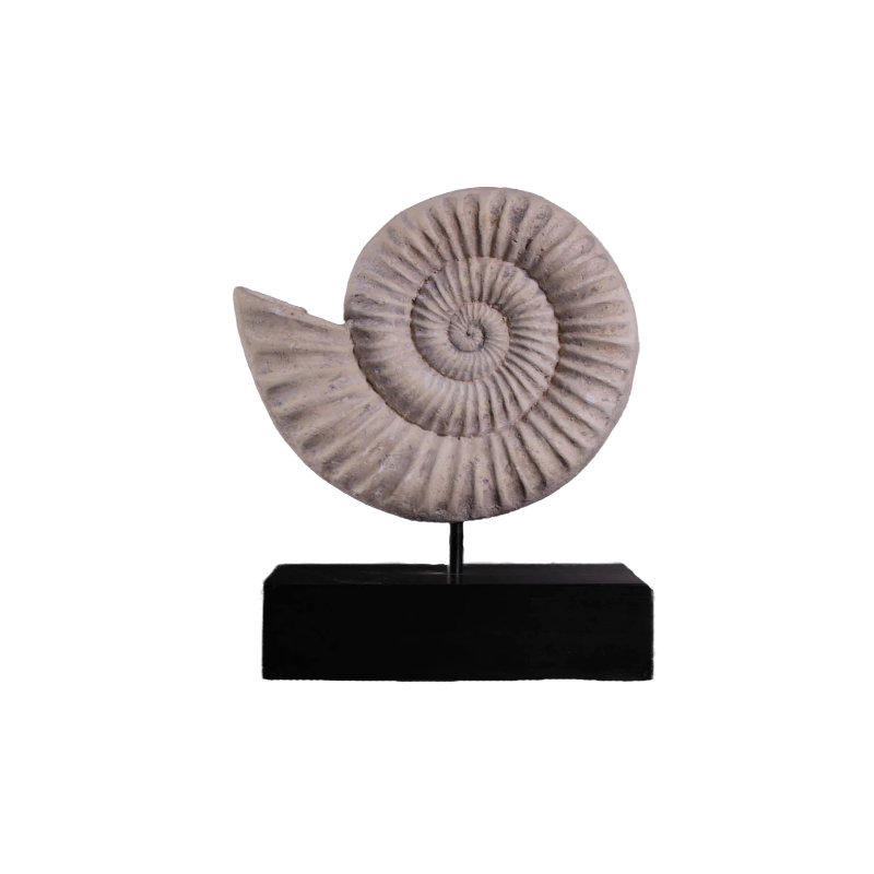 Statue en spirale de coquille fossile Algol