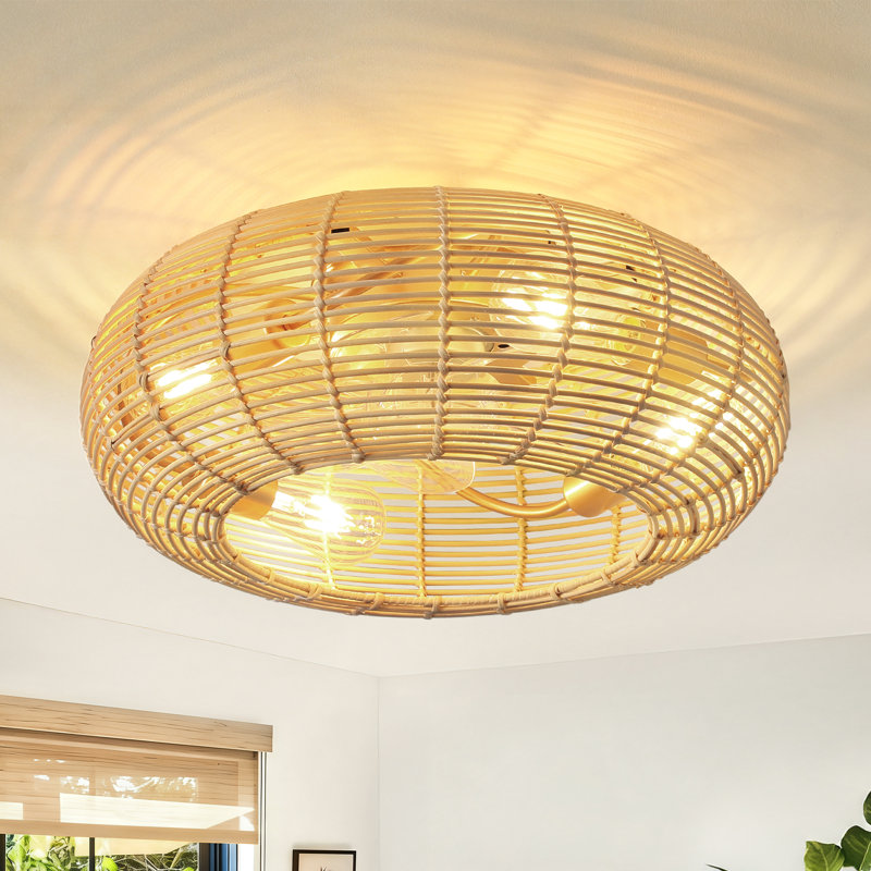 Ventilateur de plafond en cage 20 "avec lumières Hoai