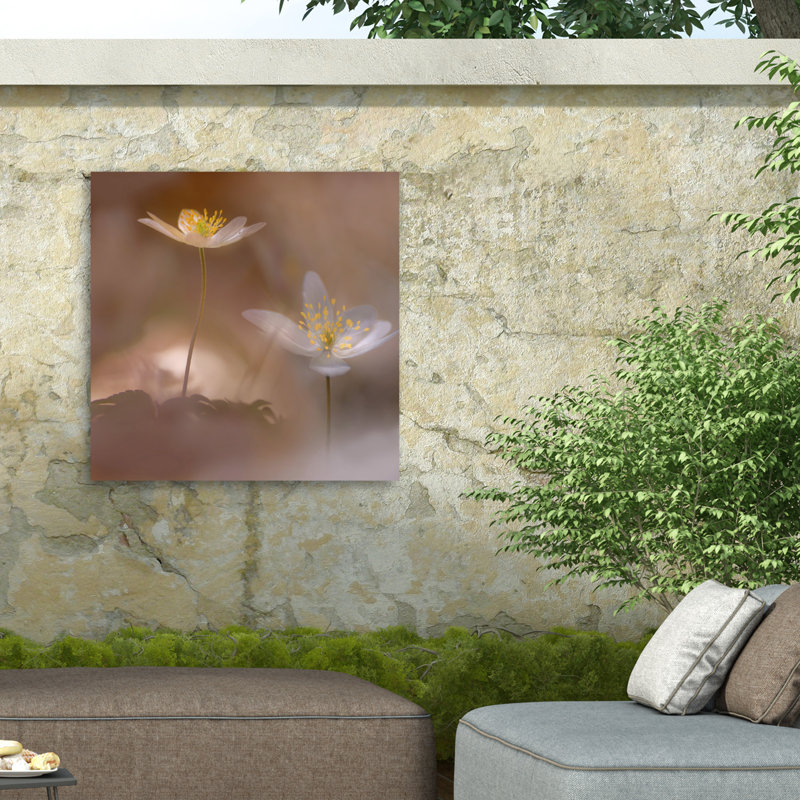 Ylva Sjogren  Freshness Outdoor  Canvas, H 14 po x l 14 po