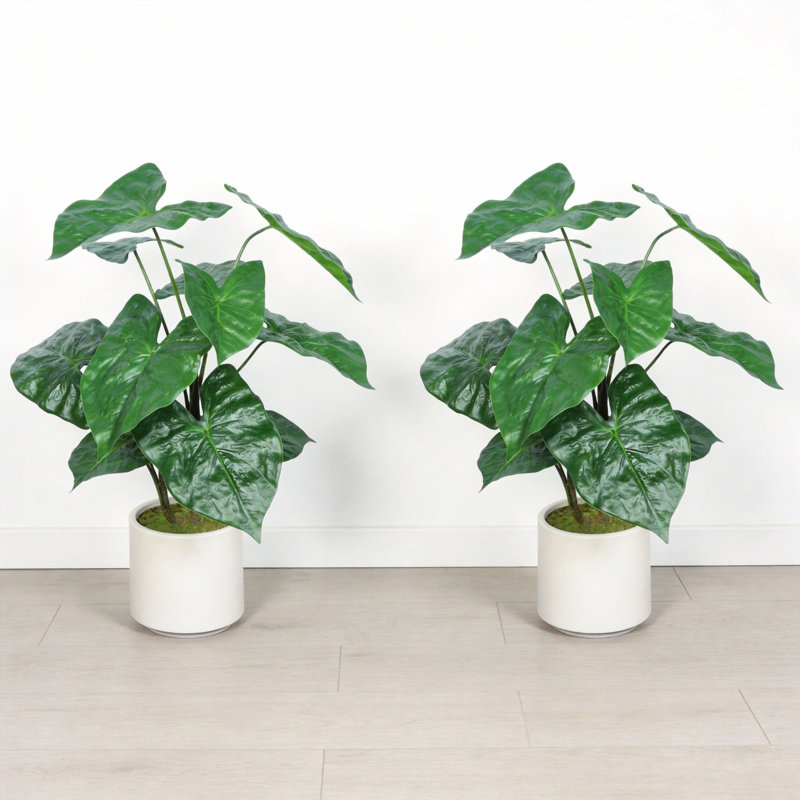30 po Alocasia artificiel avec pot blanc (ensemble de 2)