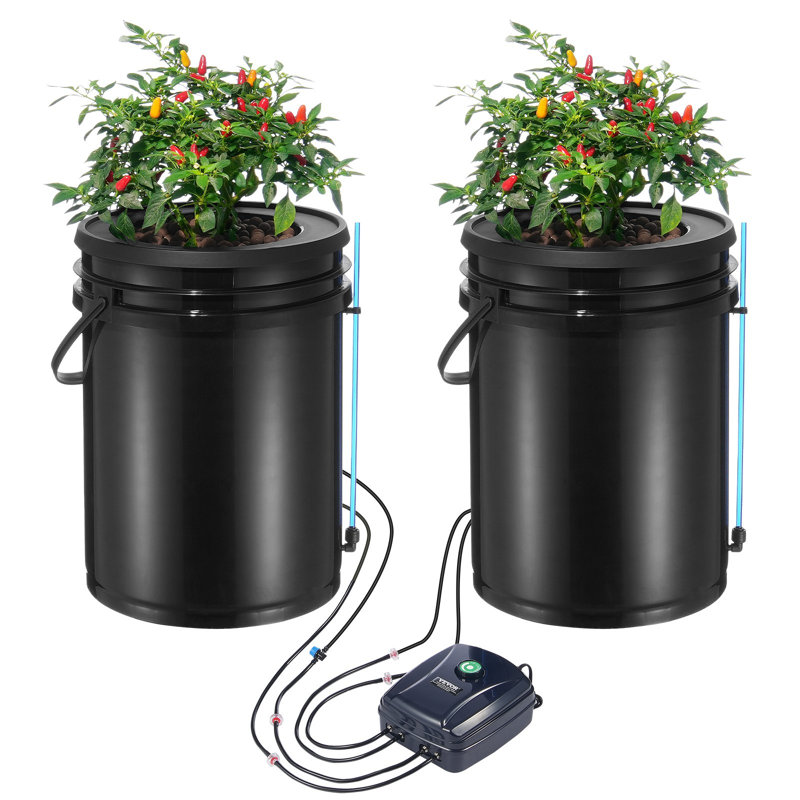 Système de culture hydroponique, système de culture hydroponique avec trousse d'égouttement, culture en eau profonde, 5 seaux, avec pompe à air, pierres à air et dispositif de niveau d'eau pour les légumes-feuilles