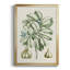 Buchoz Tropicals IX-88436894-88436895