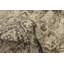 Tapis beige / brun Tobitha Southwestern-1156898181