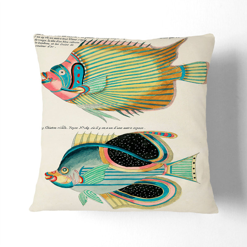 East Indies Fish Illustrations LVI by Louis Renard Cushion with Filling, 40cm H x 40cm W x 15cm D, Stone