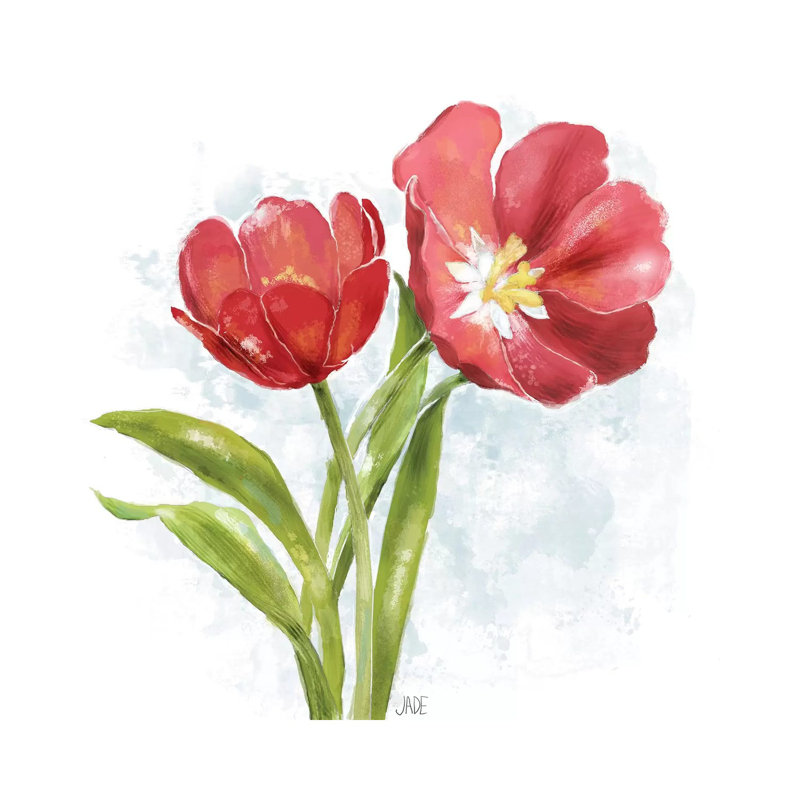 Red Tulip Splash I by Jade Reynolds - Wrapped Canvas Painting, 30.48 cm H x 30.48 cm W