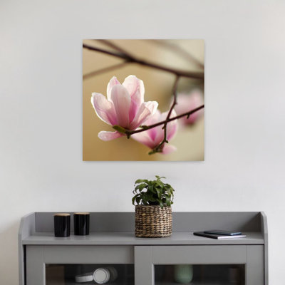Tulipier 1, art floral contemporain