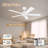 5-Blade Modern Ceiling Fan with Lights, Remote and Alexa Control, Quiet DC Motor, Dimmable, Outdoor Indoor-331082654-331082648