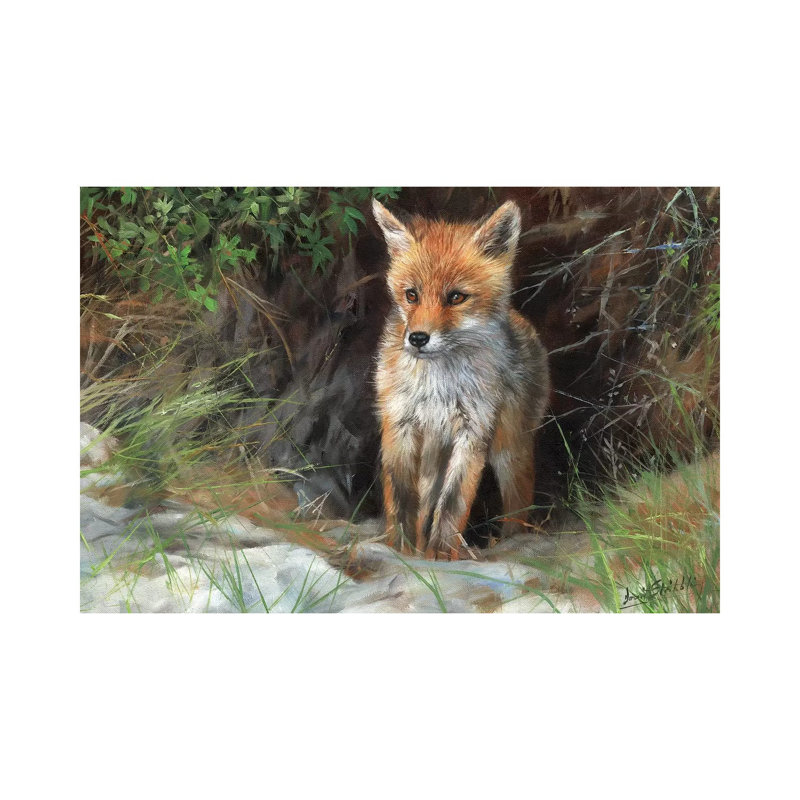 Young Red Fox by David Stribbling - Wrapped Canvas Painting, 30.48cm H x 45.72cm W x 1.905cm D