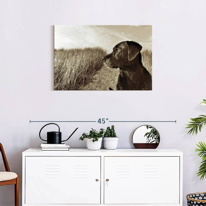 Black Lab At The Beach, 20" H x 30" W