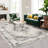 Machine Washable Rugs Oriental Floral Non-Slip Low Pile Rubber Backing Area Rug for Living Room Bedroom Kitchen Dining Room-1640823622