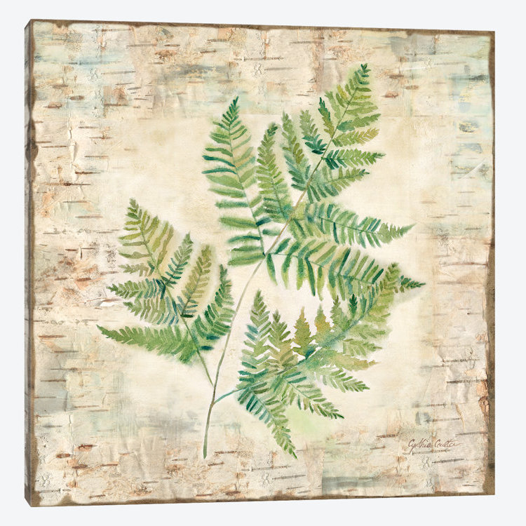 «Birch Bark Ferns I», impression sur toile, H 24 po x l 24 po x P 1 po, Papier d'art encadré noir, Blanc