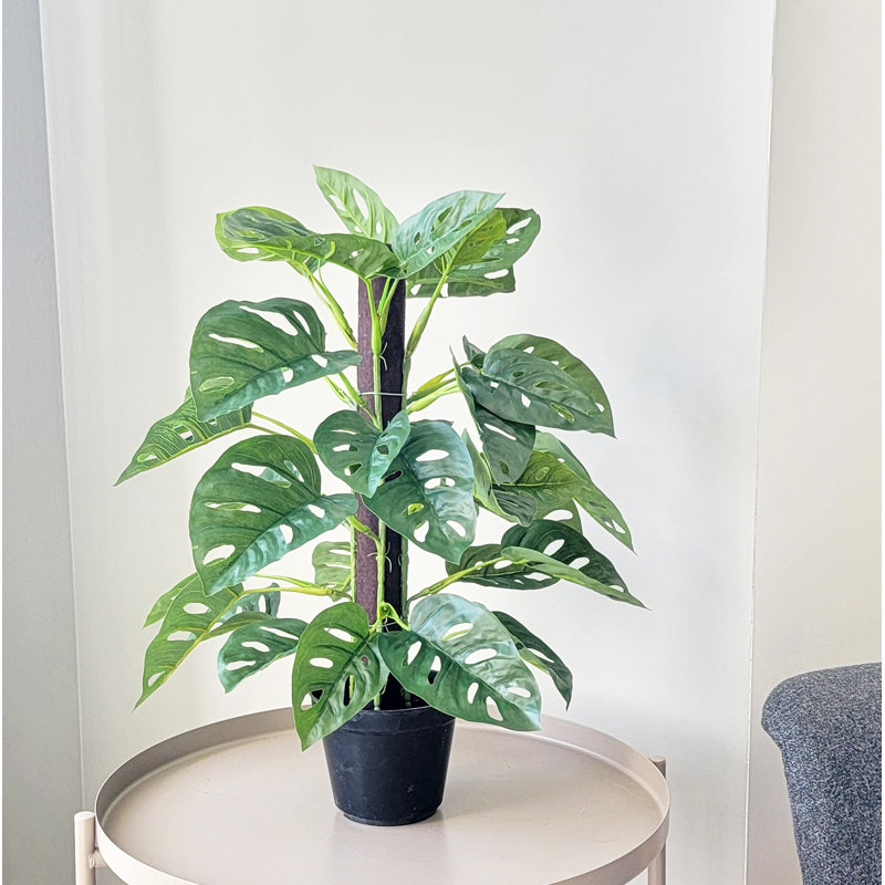 Philodendron artificiel à feuilles fendues artificielles en pot, H 18 po x l 17 po x P 17 po