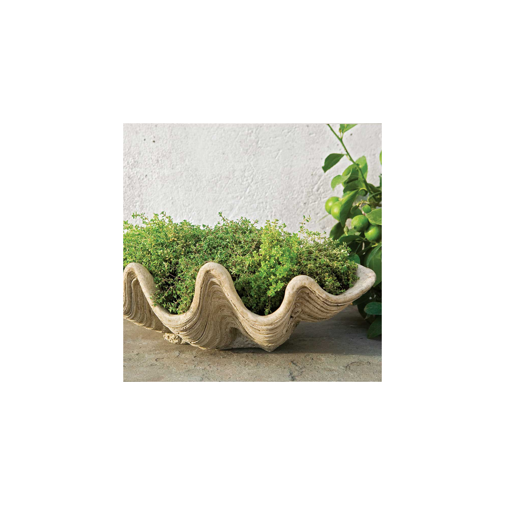 Handmade Pot Planter, Natural