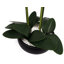 Plastic, Silk Artificial Arrangement in Planter-88685039-88685042