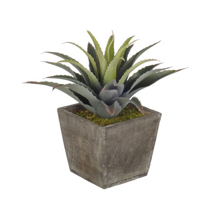 12'' Faux Succulent in Wood Pot