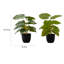 Plante 12,5 po Mcclellan