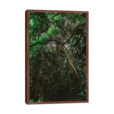 Hawaiian Forest by Bethany Young - Print on Canvas