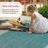 Alegre Bordered Indoor/Outdoor Rug-1440001690-1369171900
