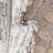 Groton Cream/Grey Area Rug-904555488