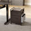 Ziolkowski 2-Drawer Mobile Vertical Filing Cabinet-1778292651