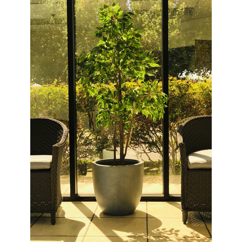 Pot à fleurs en béton Karola, Gris ardoise, H 17 po x l 18 po x P 18 po