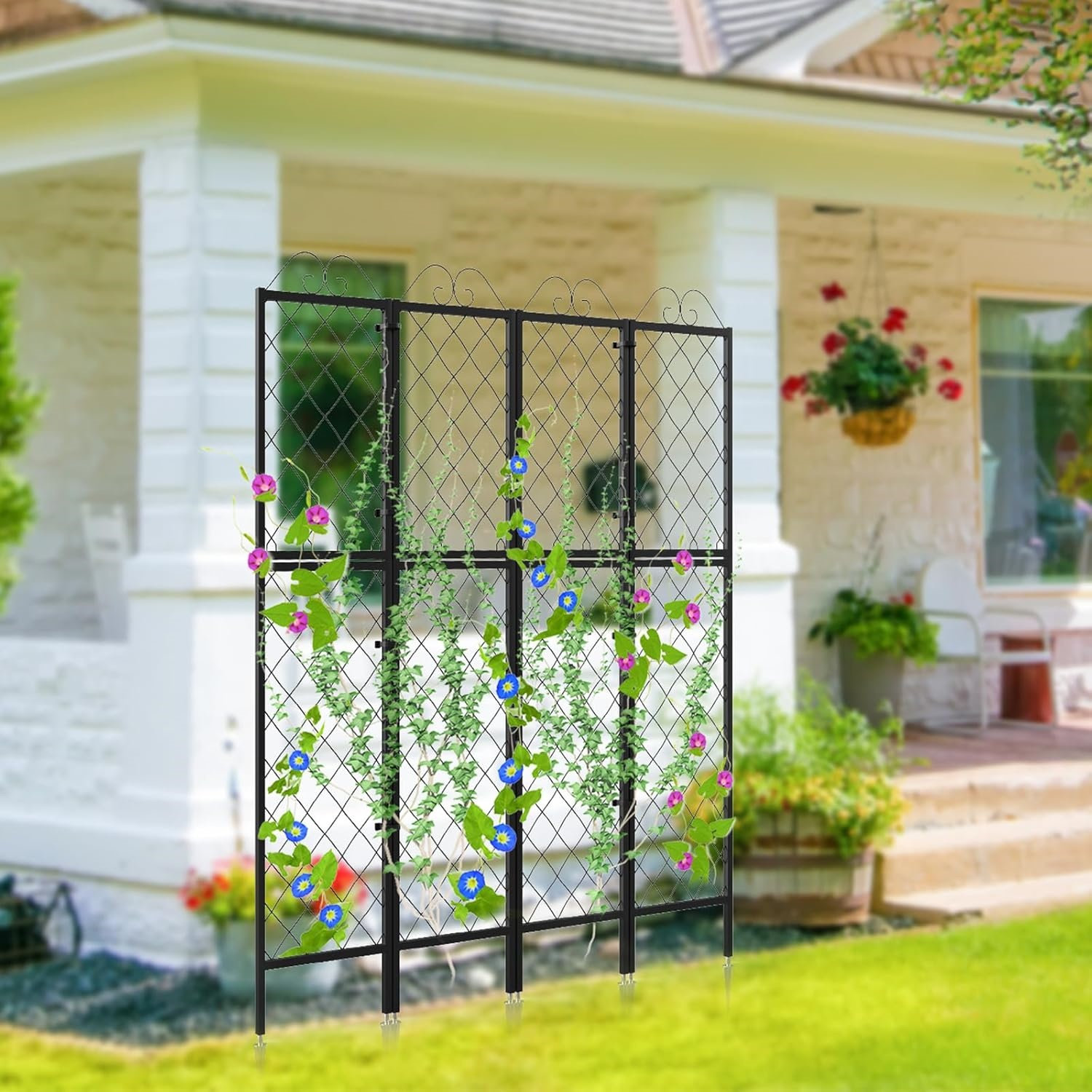 View of Lark Manor™ 2 Pack Metal Garden Trellises For Climbing Plants,77.2 Inch ...