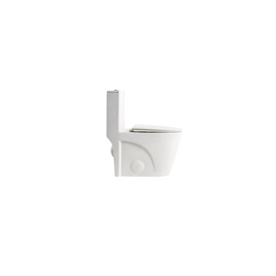 One Toilet, 1.1/1.6 Dual Flush, Glossy White Ceramic, Comfort Soft Close Seat, Bathroom Flush White, Elongated Bowl, Close,