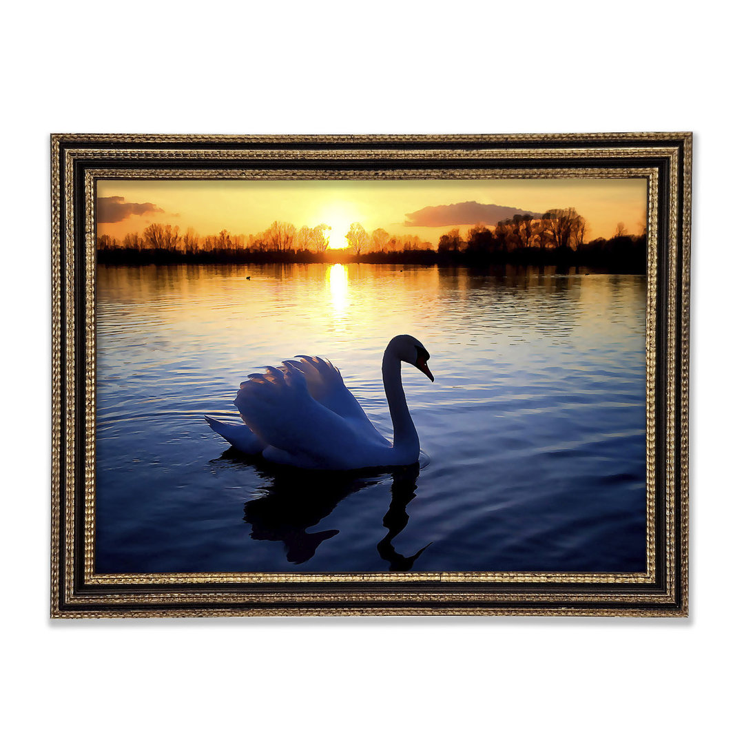 Gerahmtes Bild Lonely Swan