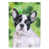 Black/White French Bulldog