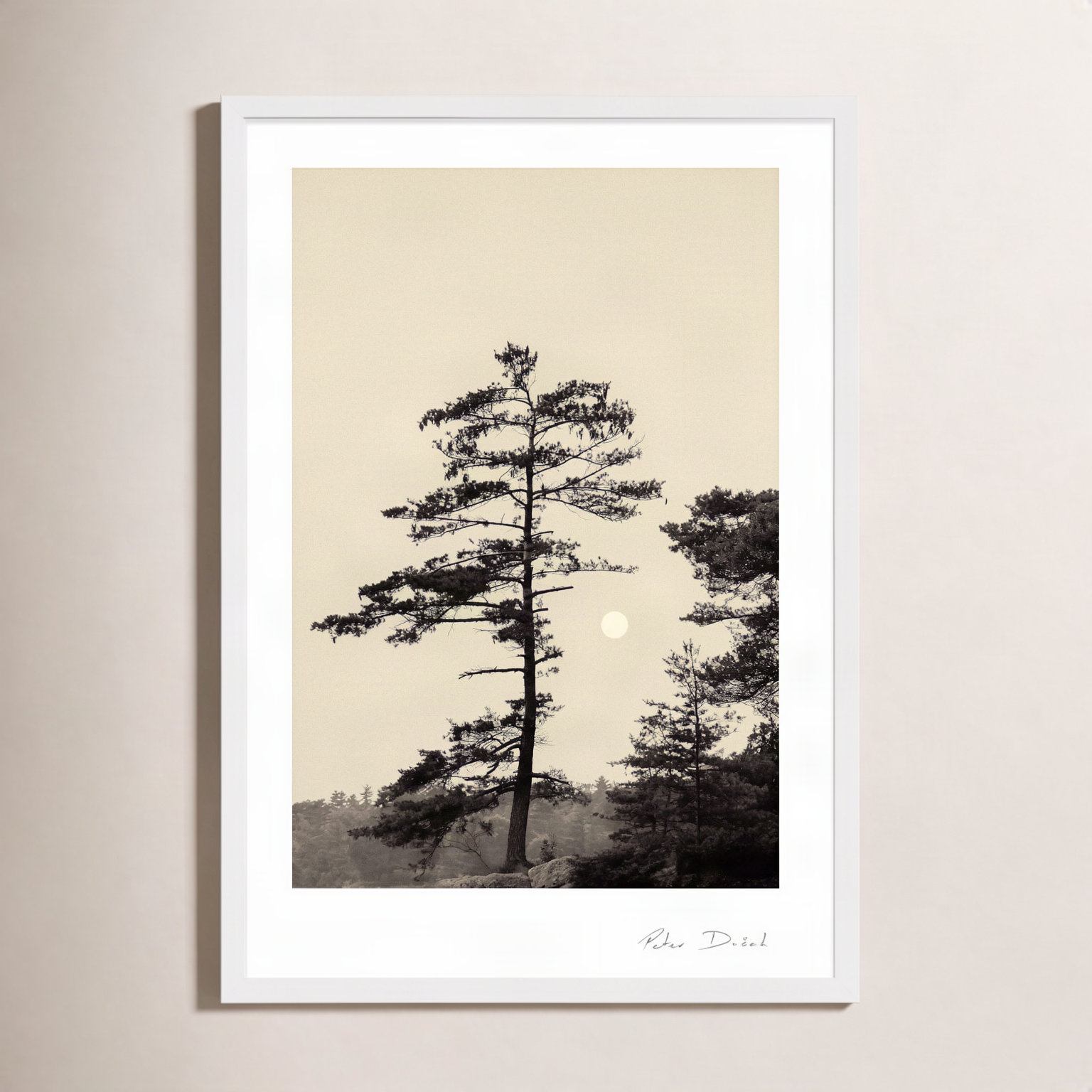 Garden Sign "Serenity" Print by Peter Dušek, 20" H x 14" W x 1.25" D, White