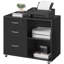 3 -Drawer 2- Shelf Mobile Filing Cabinet-1709552083