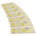 Yellow/Gray