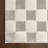 Alaiya Checkered Machine Washable Area Rug-1520193847