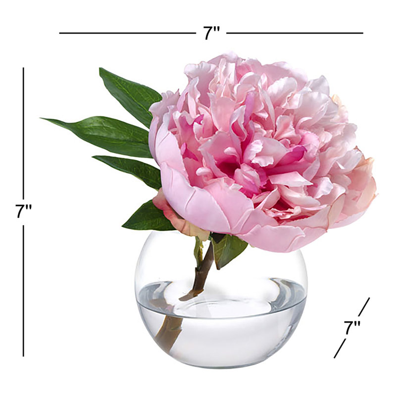 Fleur de pivoine dans un vase en verre, Rose