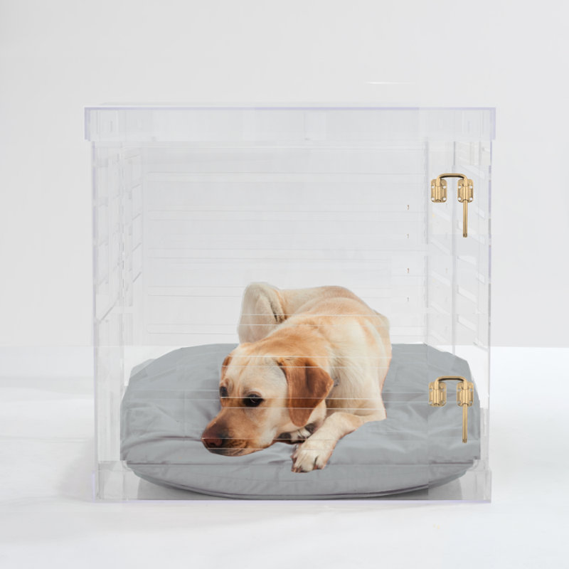 Medium Clear View Pet Crate with Silver Latch, Khaki Cushion, Gold, Large, Blush