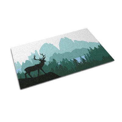 Non-Slip Outdoor Doormat