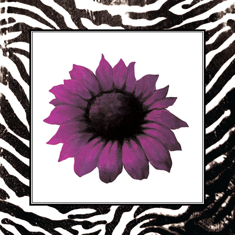 Violet Sunflower Zebra Border - Wrapped Canvas Painting, 30cm H x 30cm W x 3.8cm D