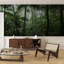Murmures de la forêt tropicale émeraude-298455385