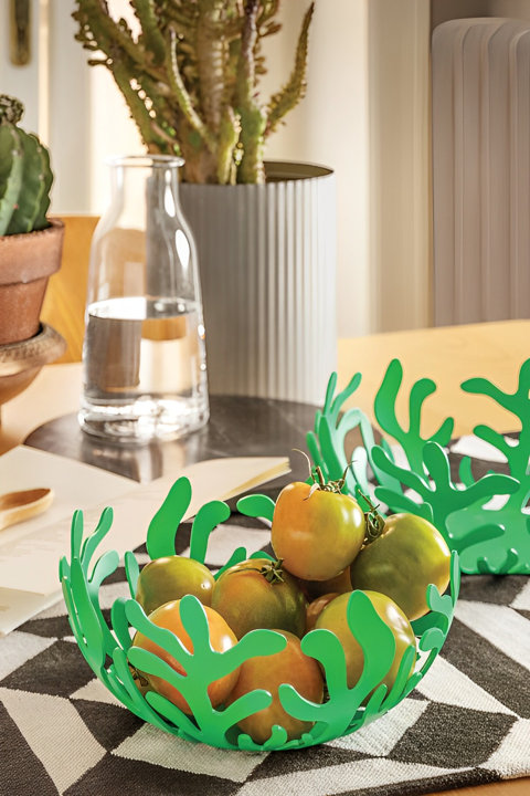 The Mediterraneo Collection
