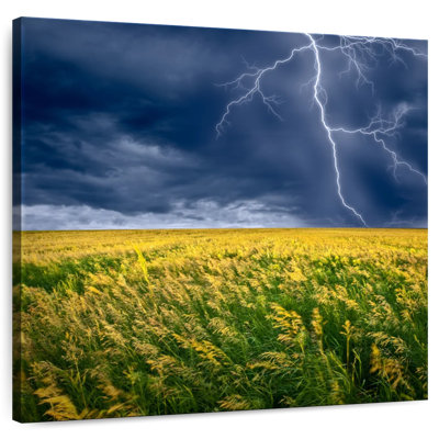 Alvord Thunderstorm