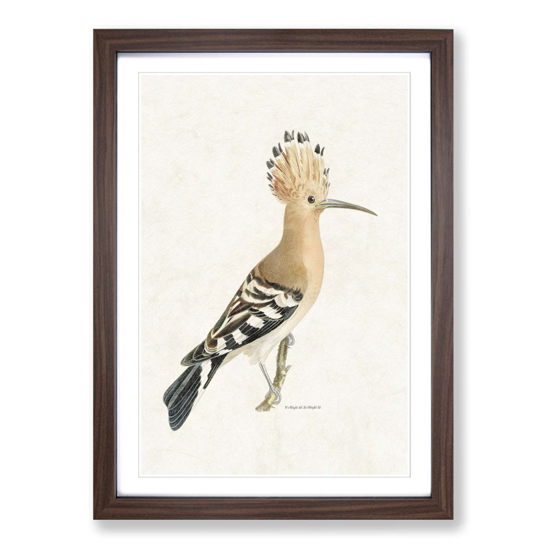 Hoopoes Bird by Von Wright - Picture Frame Painting Print on MDF, Walnut Framed, 48cm H x 36cm W x 2cm D