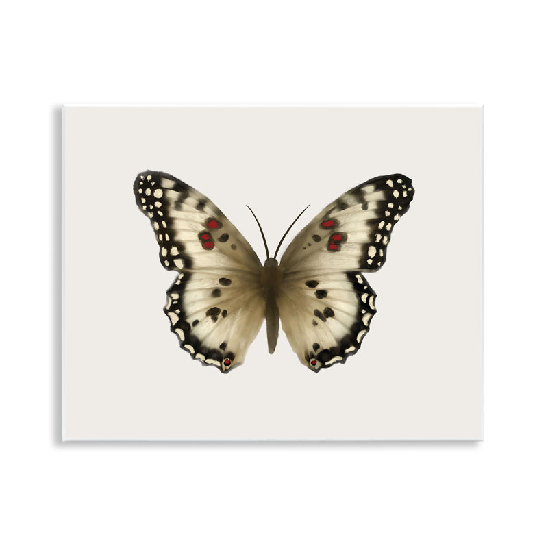 Art mural en forme de papillon symétrique brun clair par Elizabeth Medley