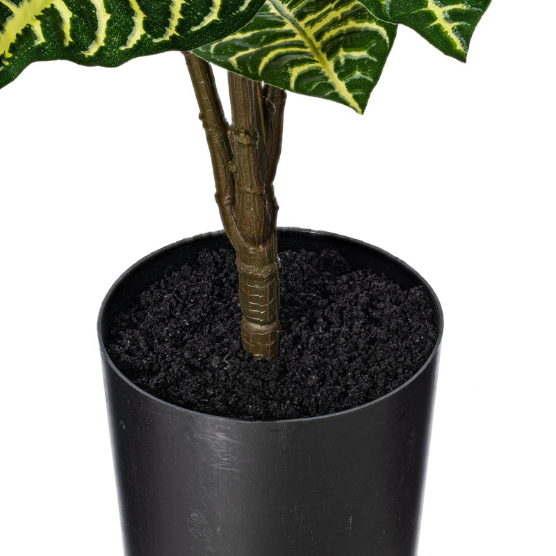 Plante zébrée 26 po Alocasia, H 26 po x l 16 po x P 16 po