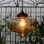 Large Glass Pendant Light – Industrial Vintage Ceiling Hanging Lamp-82471652