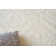 Ferretti Wool Area Rug in Ivory