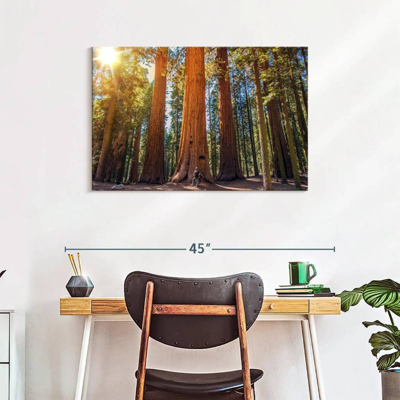 Harnek Giant Sequoia Trees, 24" H x 36" W